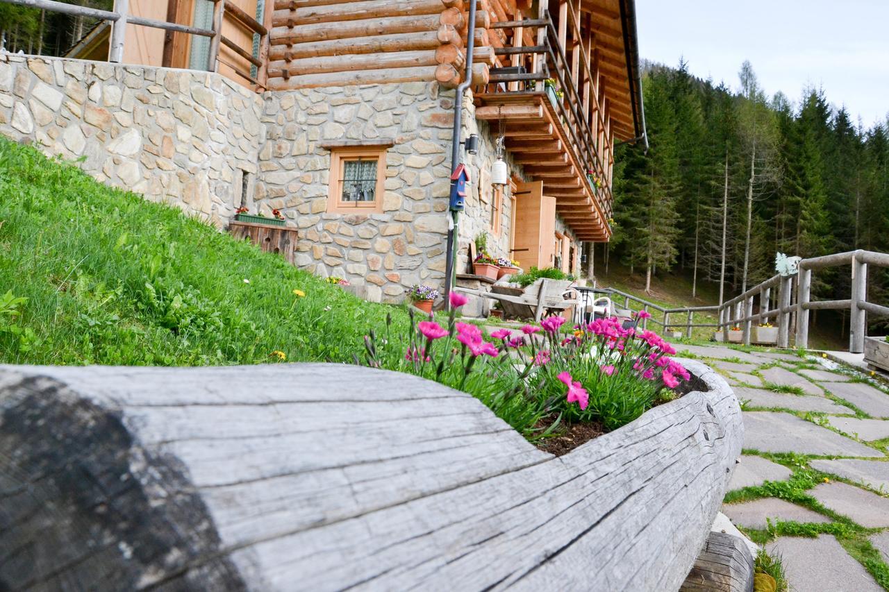 Chalet Nel Doch Canal San Bovo Zewnętrze zdjęcie