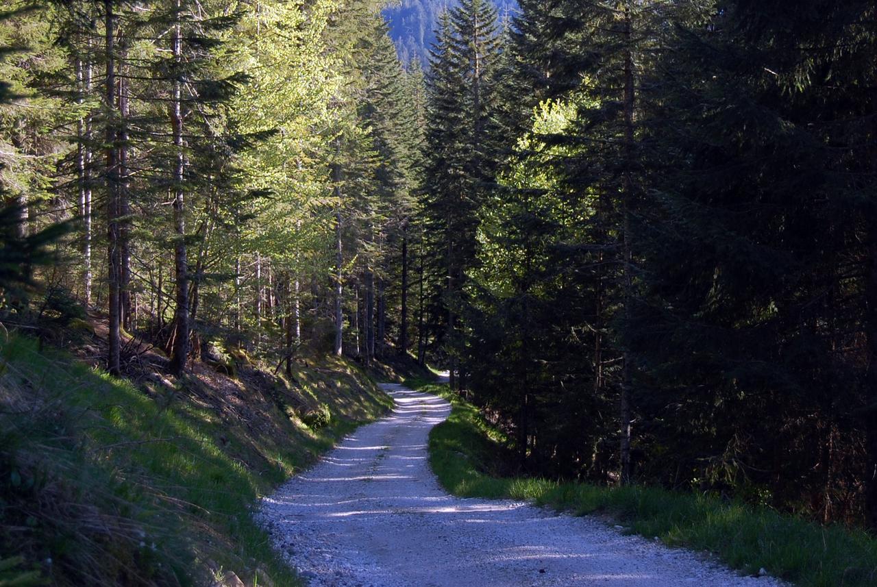 Chalet Nel Doch Canal San Bovo Zewnętrze zdjęcie
