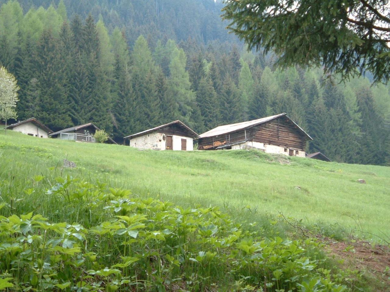 Chalet Nel Doch Canal San Bovo Zewnętrze zdjęcie